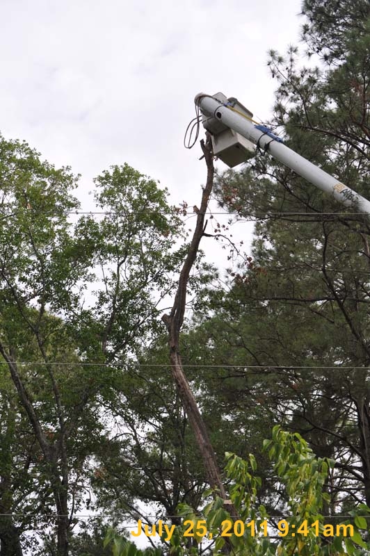 Entergy 099